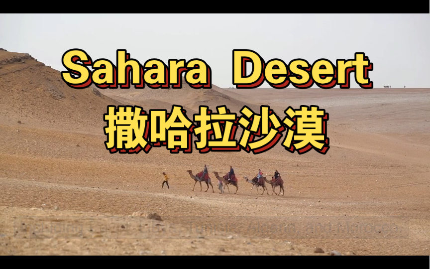 【英语百科】 sahara desert 