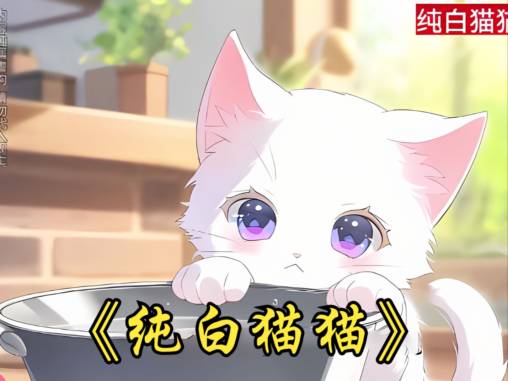 [图]《纯白猫猫》捡回的小猫和我们学校的校花很像，又傲娇叉没礼貌，她叫赵X，所以你就叫小XI吧