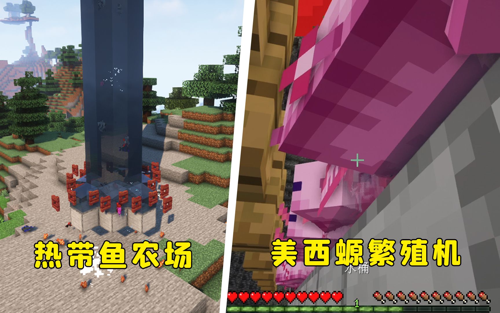 我的世界:一个洞穴,一桶水,就能做热带鱼农场?附赠蝾螈繁殖机-图图图酱吖-图图图酱吖-哔哩哔哩视频