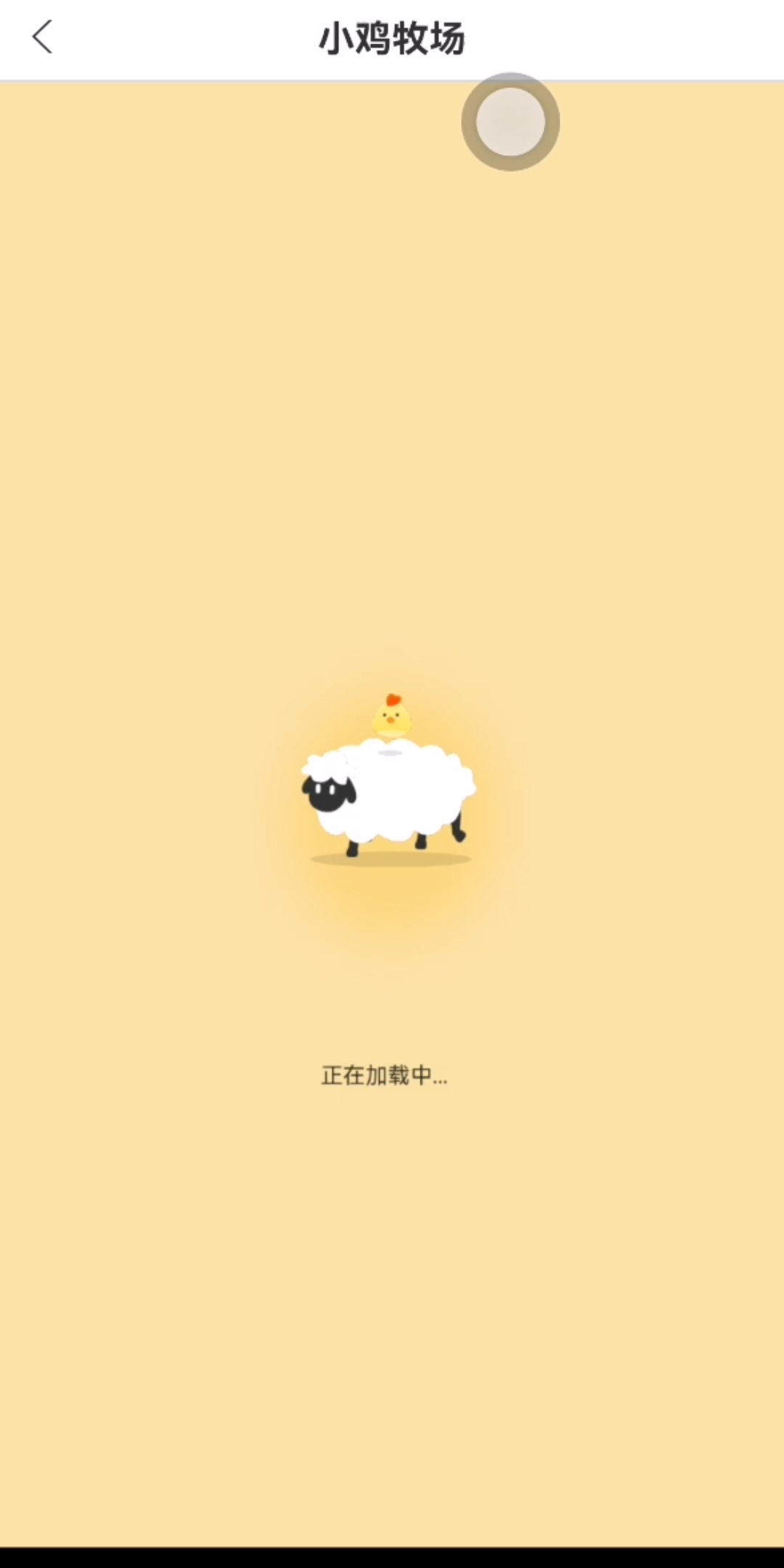 小鸡趣玩哔哩哔哩bilibili