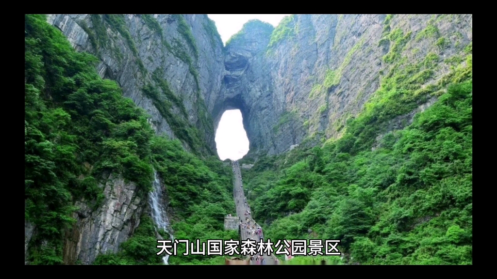 天门山国家森林公园景区内有陆生脊椎动物205种,隶属4纲26目74科,如豹