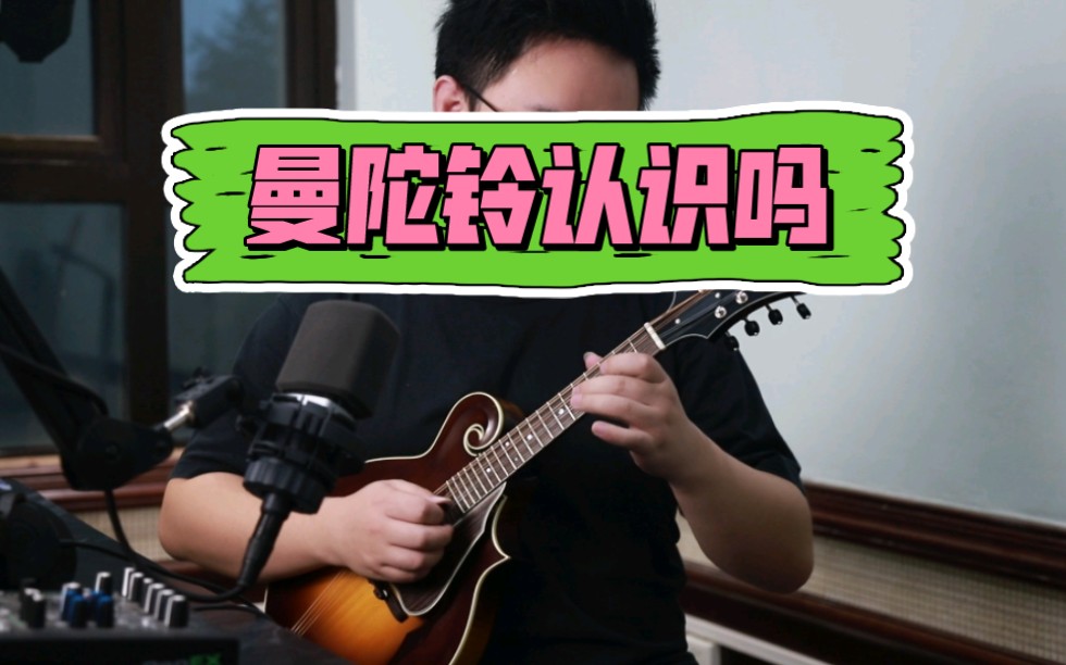 Mandolin 曼陀铃认识吗? 太好听了吧! 陈彪演示哔哩哔哩bilibili