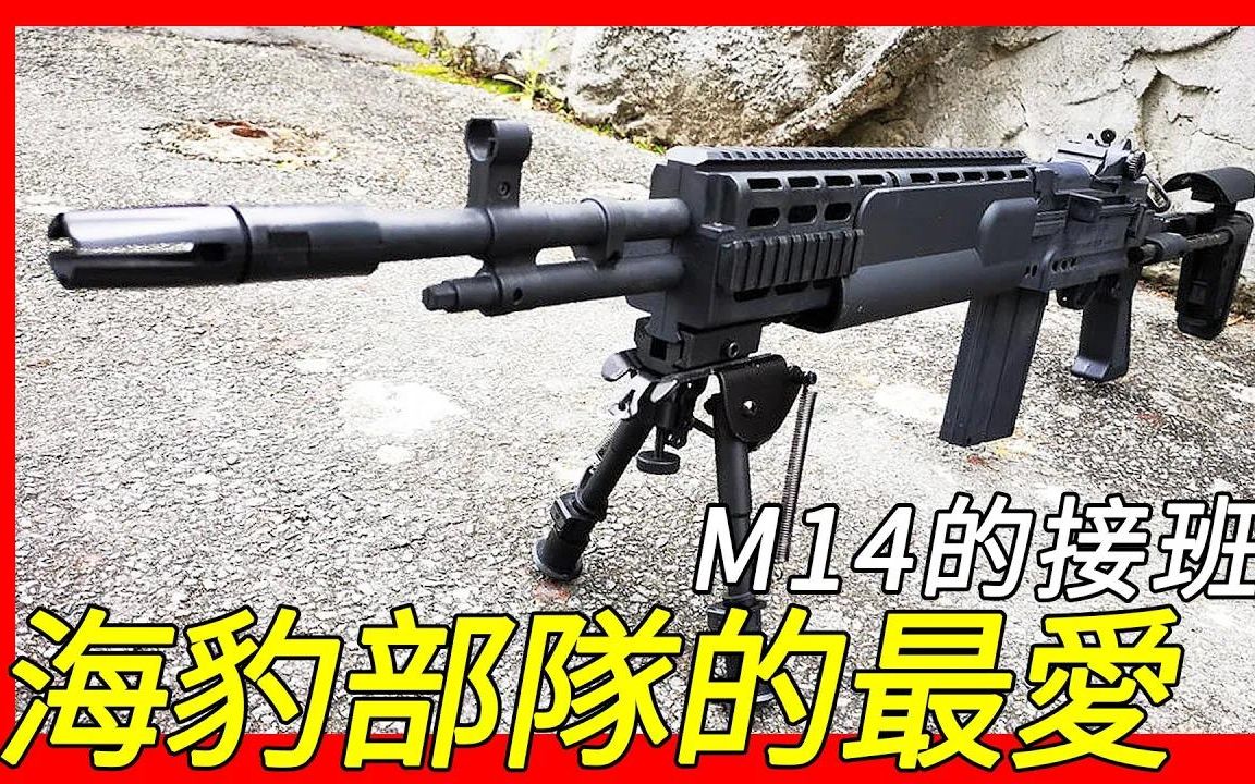 [图]同时扮演两种作战角色，海豹部队的最爱，M14的接班人，Mk14增强型战斗步枪