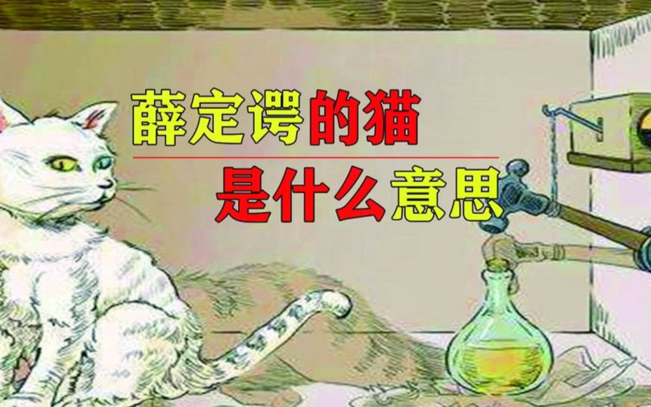 薛定谔的猫是什么,它与平行宇宙有什么关系?五分钟看懂量子力学哔哩哔哩bilibili