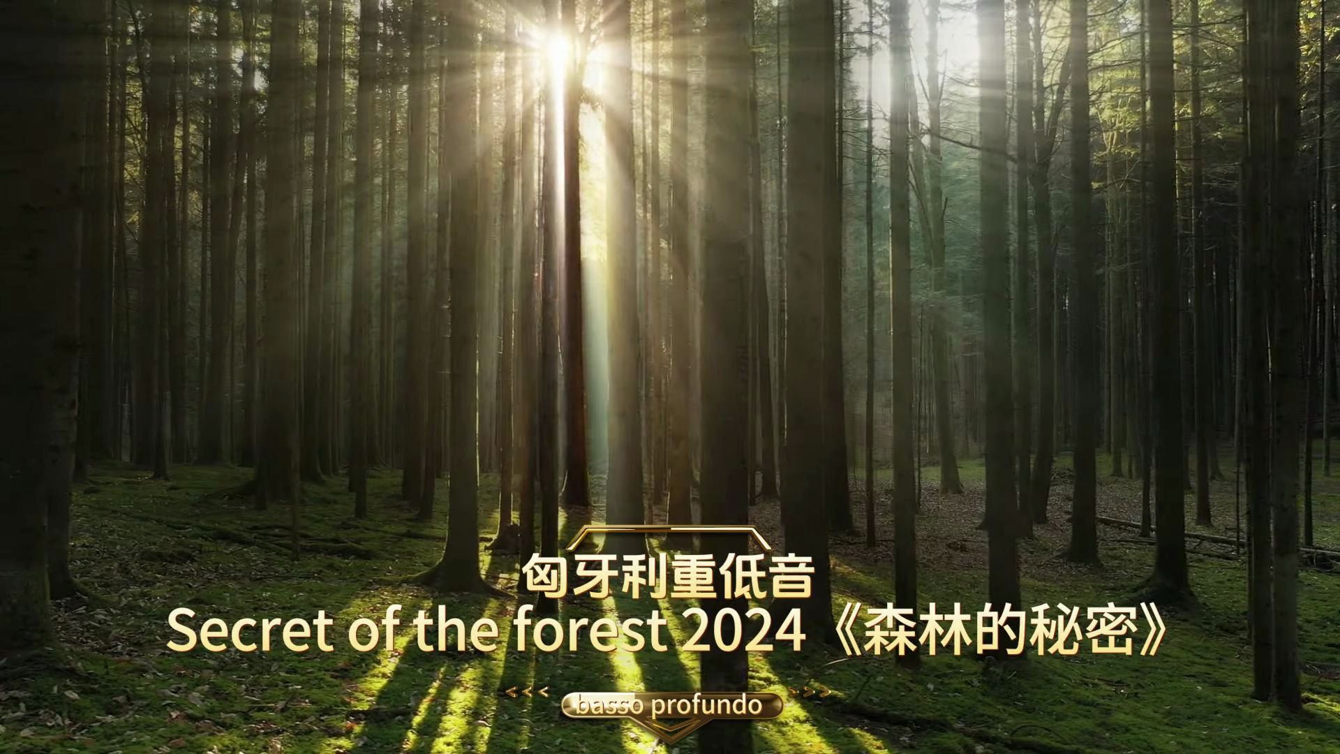 [图]【匈牙利重低音】Secret of the forest 2024《森林的秘密》