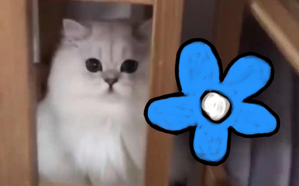 【花生米/花少北】听花少北讲花生米(第一篇:小羊不萌)