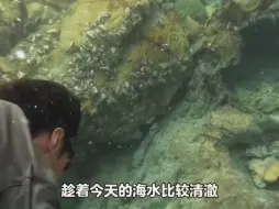 下载视频: 印尼海豚岛生存第十一集