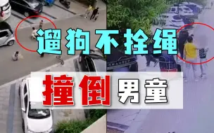 Download Video: 狗不拴绳撞倒男童，家长理论遭扇耳光，狗主人横行霸道是为啥