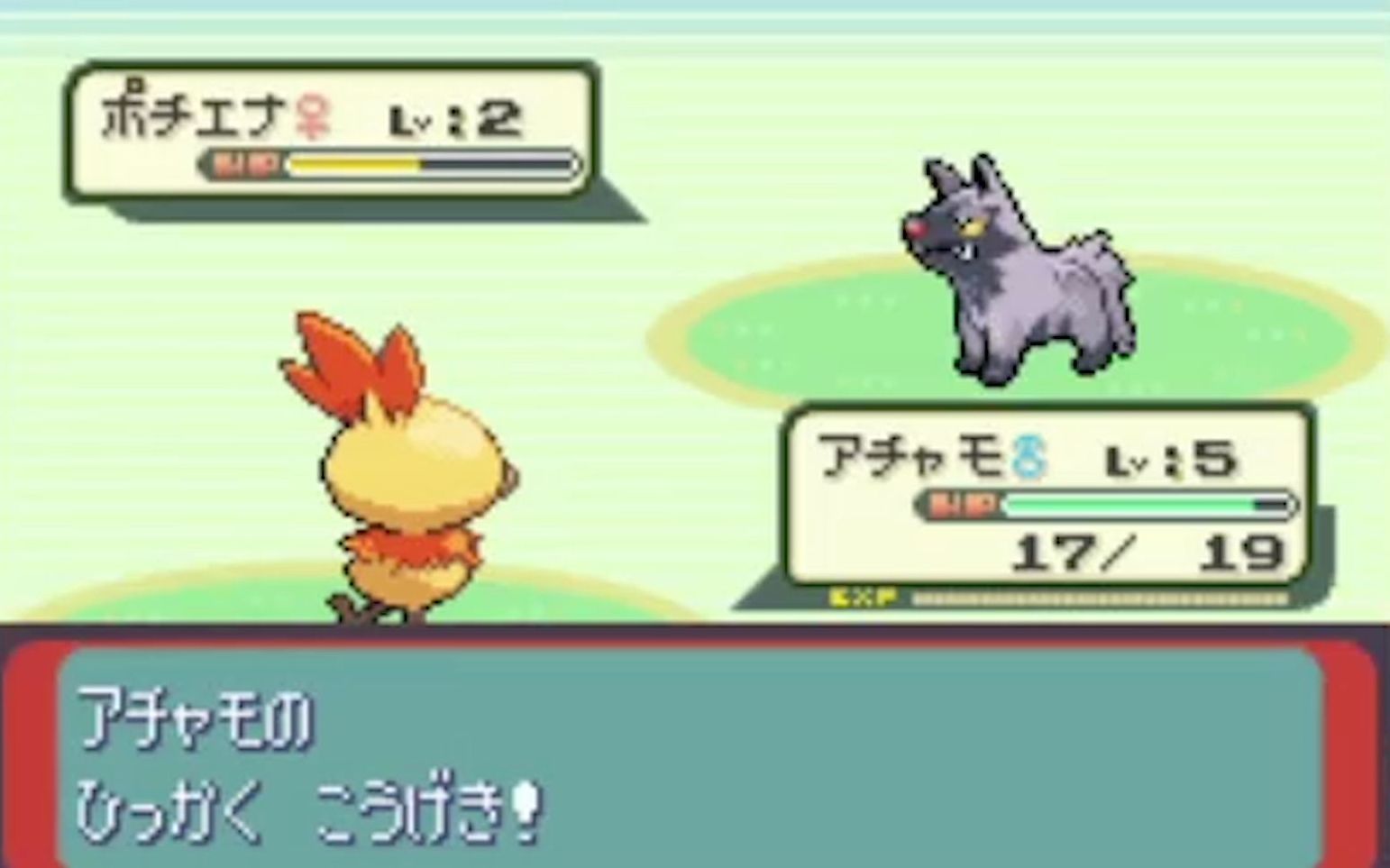 活动  为什么我在红宝石拿到的御三家不对劲! 【灰灰の前代闪no.3】