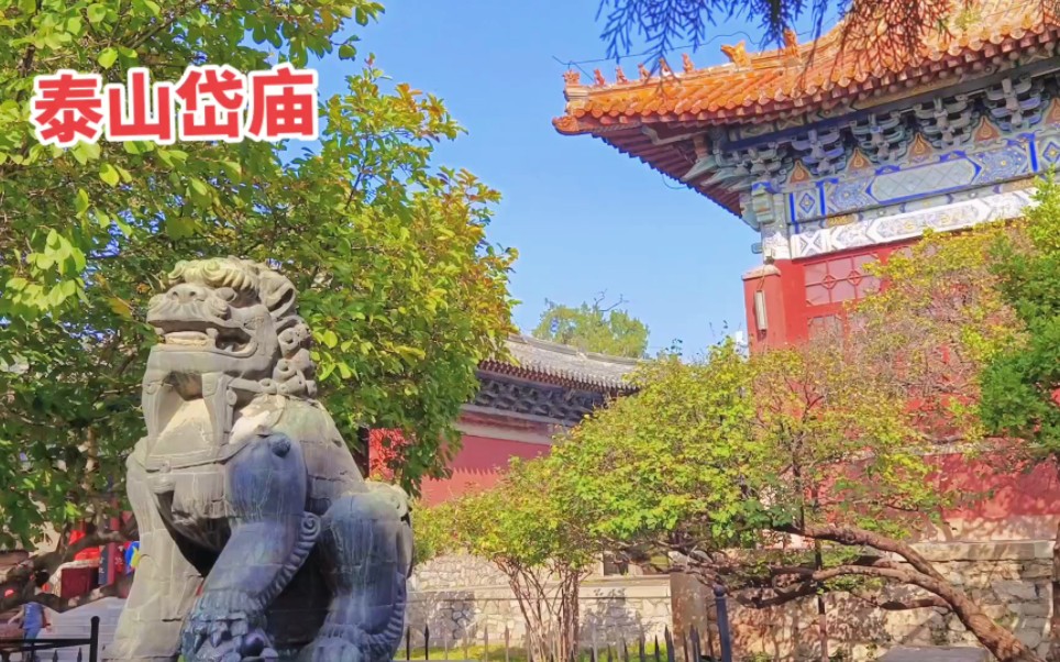 山东省泰安市岱岳区天下第一庙-岱庙慈善家郭战解拍于泰山!洛宁县