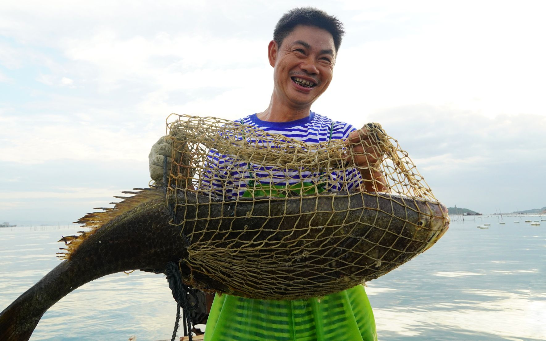 阿兴捕上一条大鳘鱼,迫不及待地拉去卖,一条鱼赚了2000多块