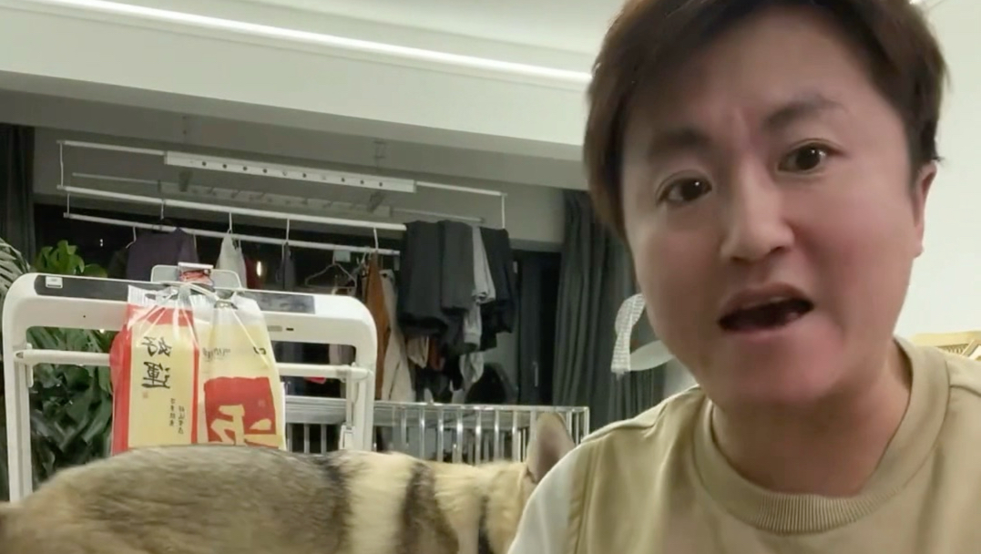 训狗我很专业的