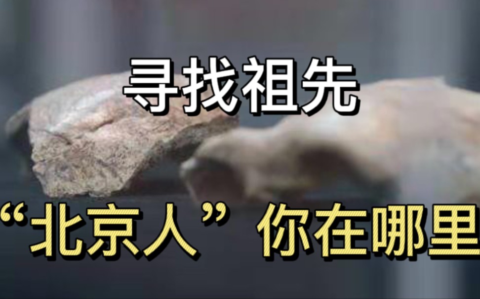 [图]寻找祖先，“北京人”你在哪里