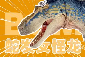 Download Video: 【呆头鹅】中生代野兽 BOM Beasts of the Mesozoic 暴龙蛇发女怪龙 戈尔冈龙开箱测评