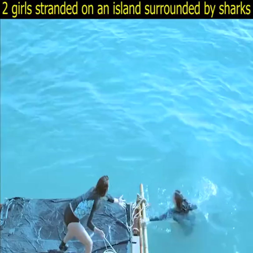 鲨滩2,靓女在海上找生存