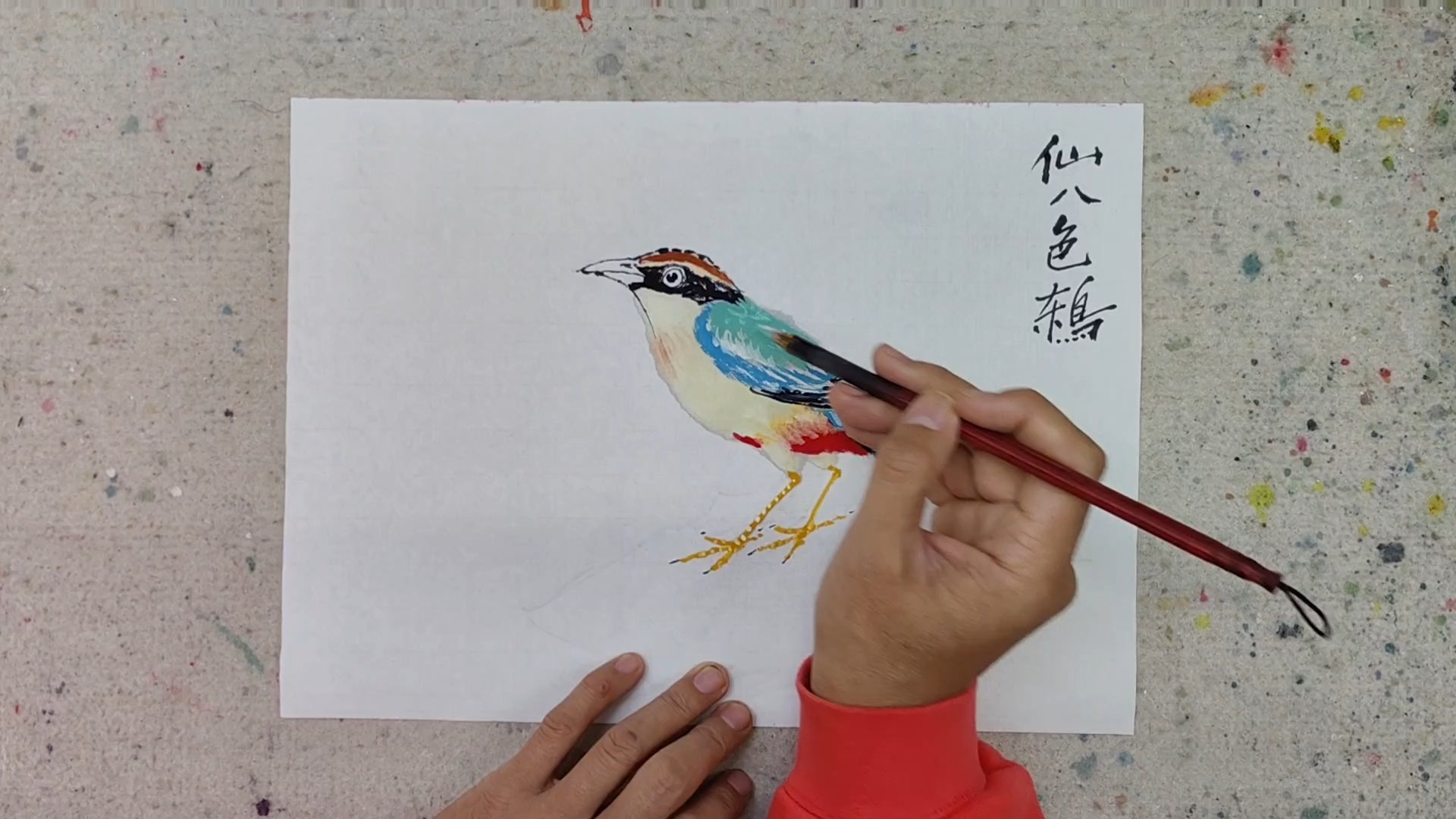 仙八色鸫国画小写意