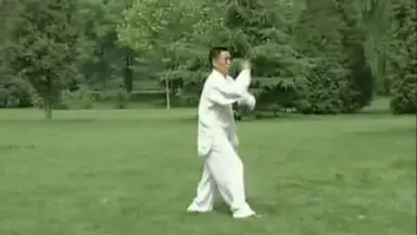 游身八卦连环掌-哔哩哔哩_Bilibili