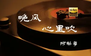 Video herunterladen: 晚风心里吹-阿梨粤【Hi-Res无损音质】【愿晚风心里吹 吹散我的泪 似风筝把你追】