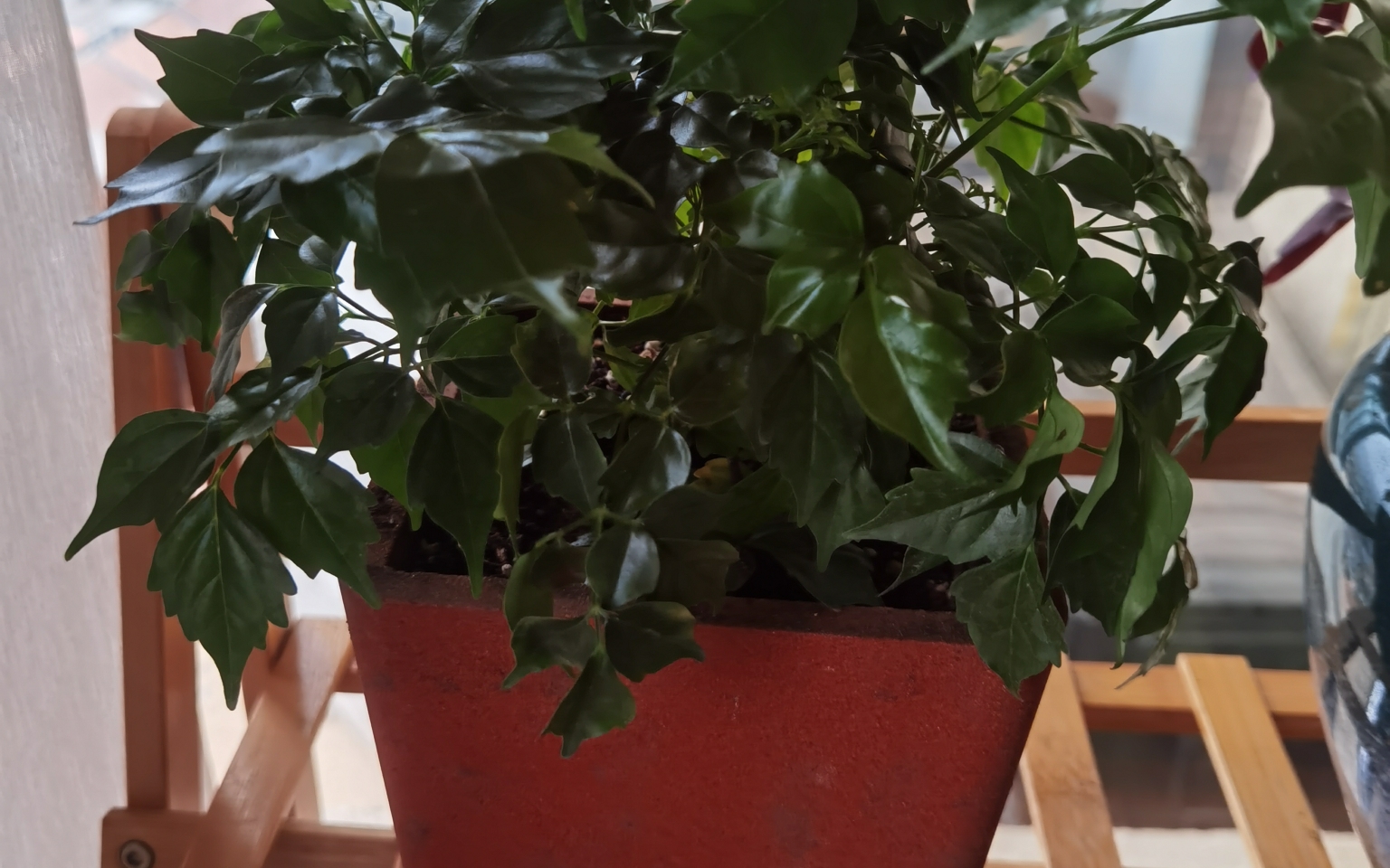 紫气东来,时来运转