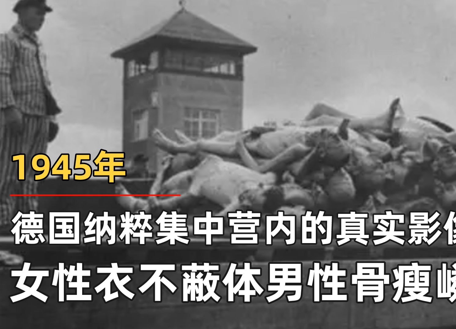 1945年,德國納粹集中營內的真實影像,女性衣不蔽體男性骨瘦嶙峋