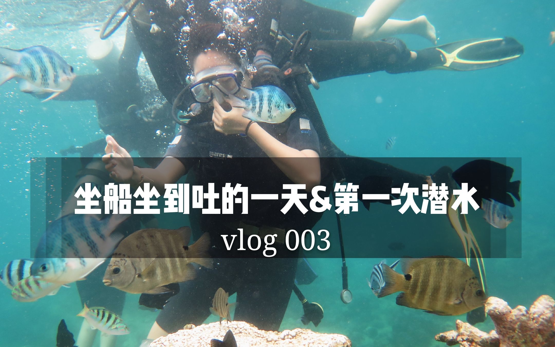 【vlog越南】第一次潜水,小鱼会发光啊~哔哩哔哩bilibili