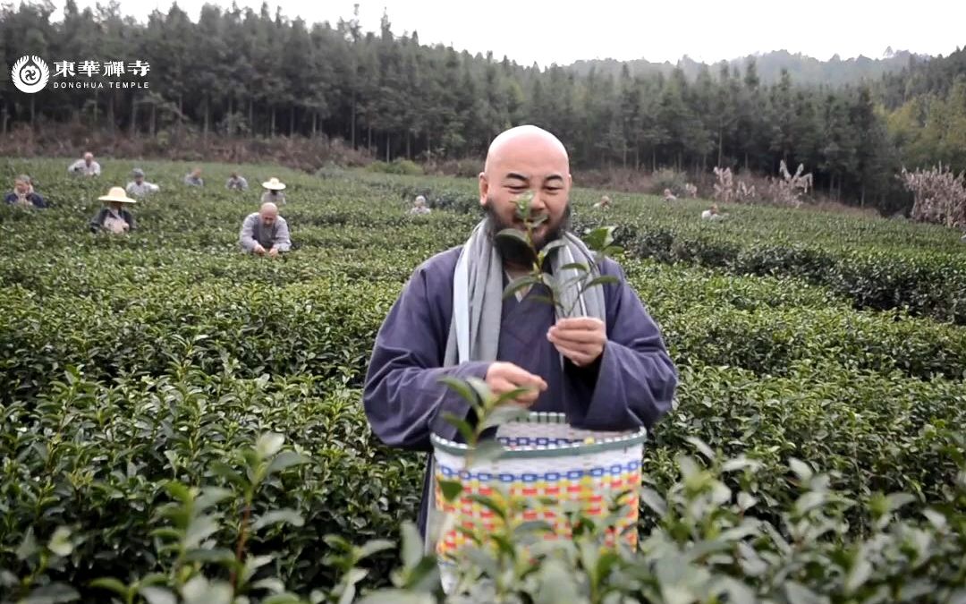 [图]这位老朋友承担了僧人一年的生活费 师父感慨：又见面了