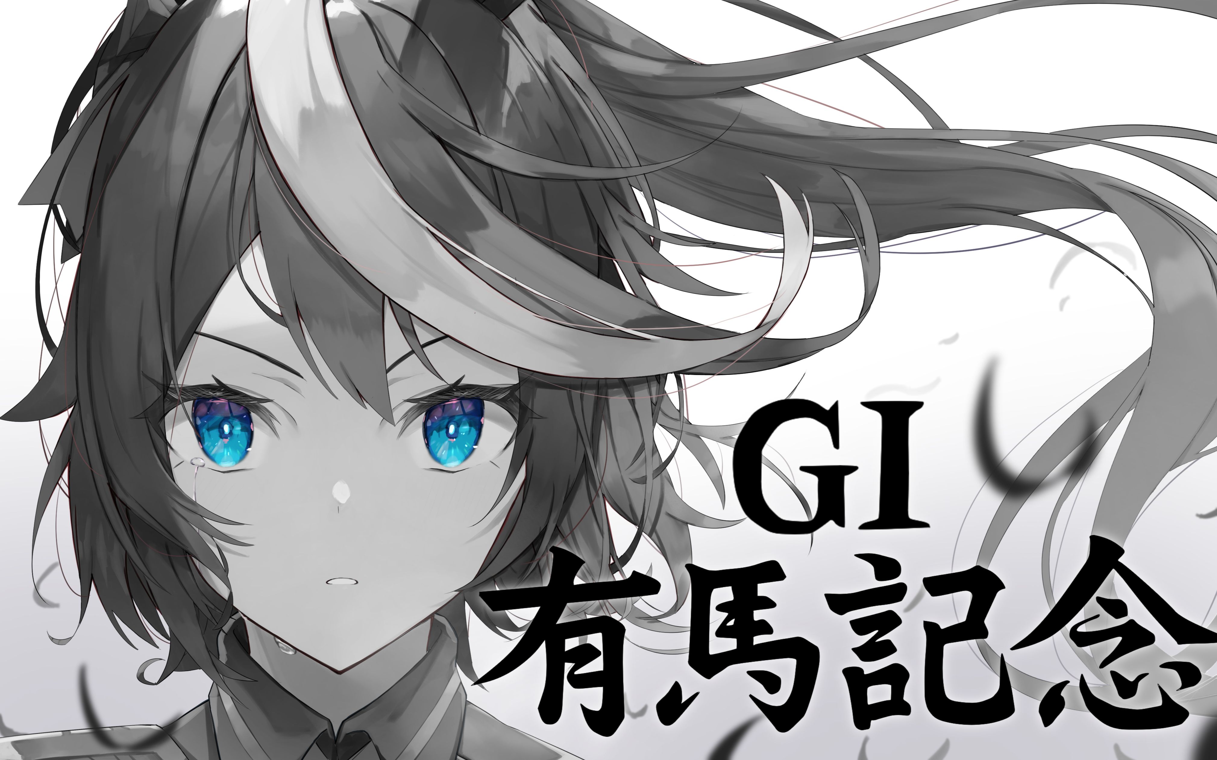 赛马娘历史解说替换动画最终话东海帝王vs琵琶晨光有马纪念奇迹的复活