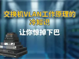 Download Video: 交换机VLAN工作原理的冷知识，让你惊掉下巴！