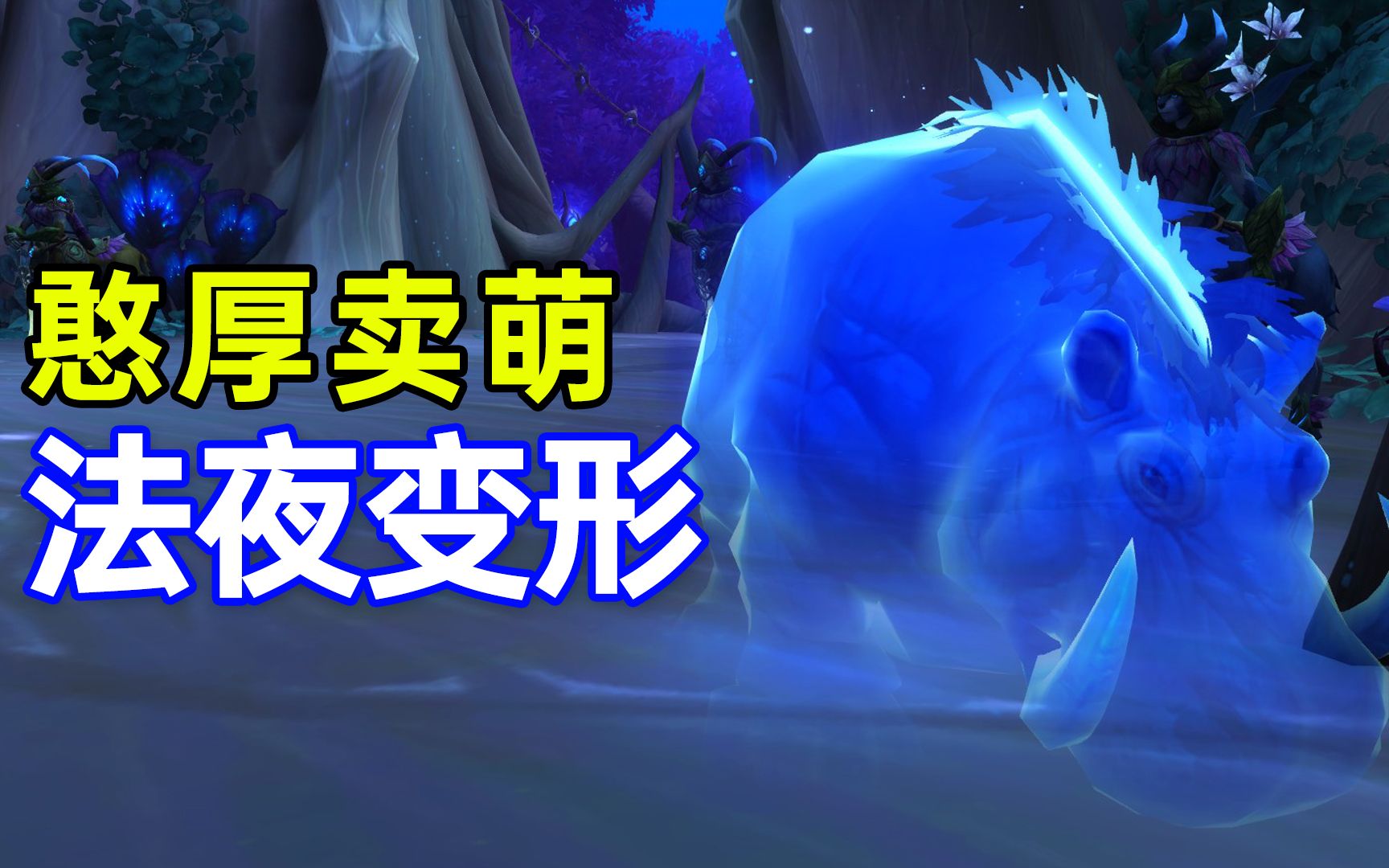 《WOW魔兽世界》法夜变形,河马,雷龙,羊驼,蜜蜂,母鸡.WOW游戏杂谈