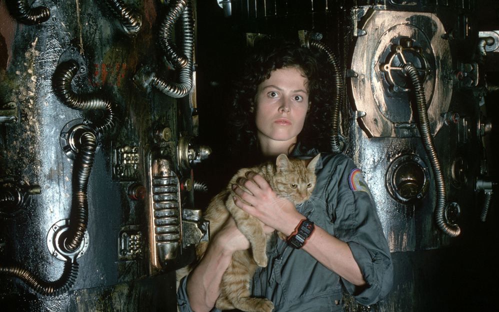 no13小林5分钟看完异形1异形出场初露锋芒