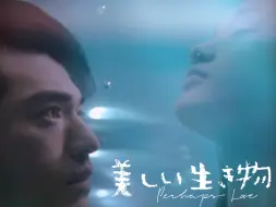 Descargar video: 如果爱｜美丽的生物（美しい生き物 ）｜周迅 金城武