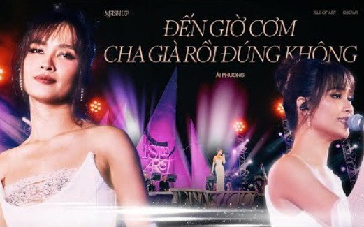 [图](越南歌曲现场版)Mashup: Cha Già Rồi Đúng Không & Đến Giờ Cơm - Ái Phương(喜欢这种方式)