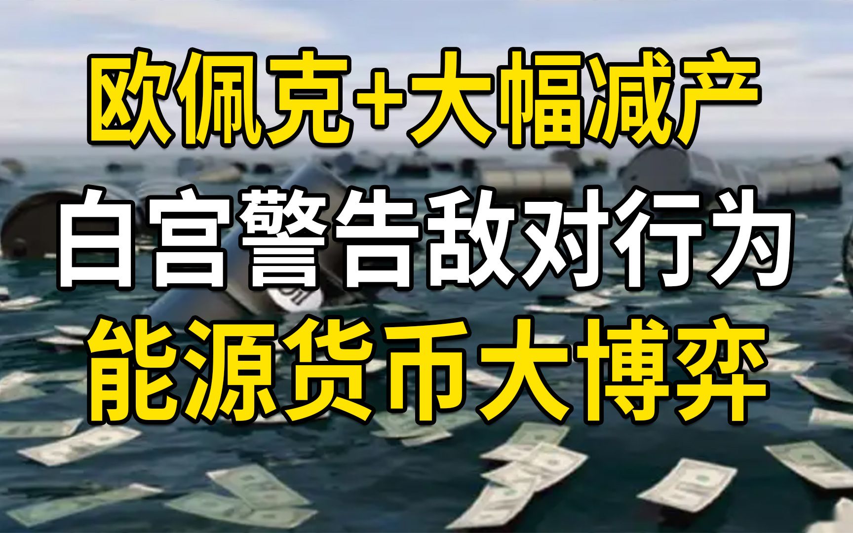 欧佩克+大幅减产石油,白宫警告这是敌对行为,能源货币大博弈哔哩哔哩bilibili