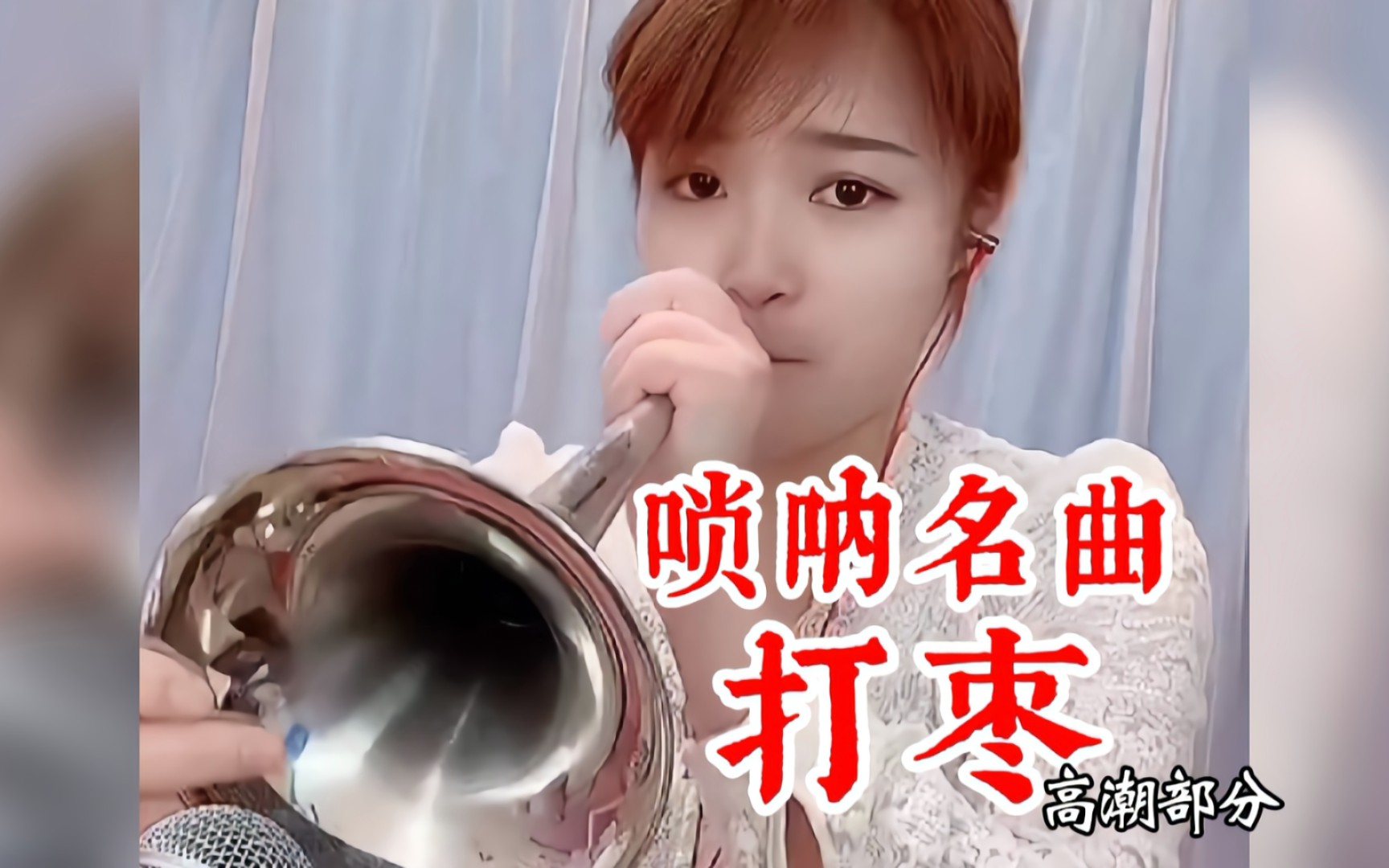 唢呐独奏唢呐名曲《打枣》哔哩哔哩bilibili