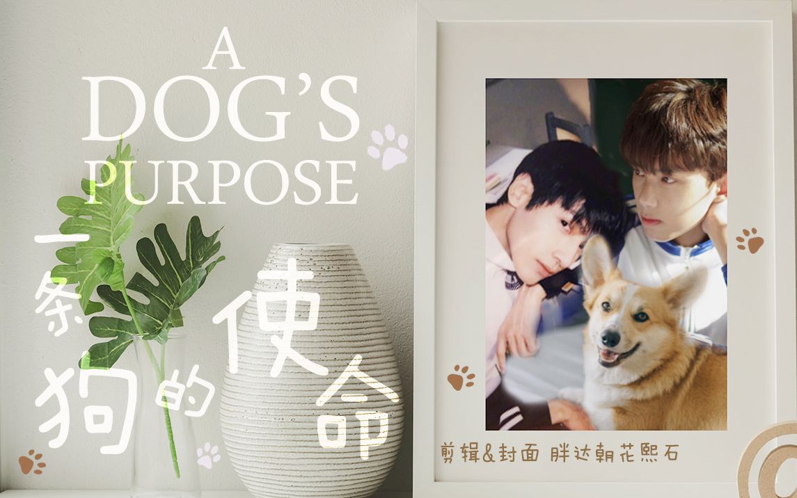 【奥利奥|双leo】一条狗的使命 - 3055||献给狗狗,狗狗世界第一