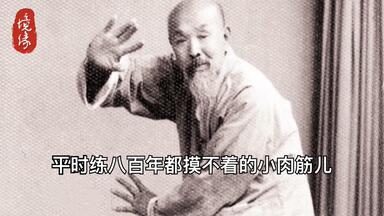 徐纪】陈式太极拳连环老架炮捶（1995）_哔哩哔哩_bilibili