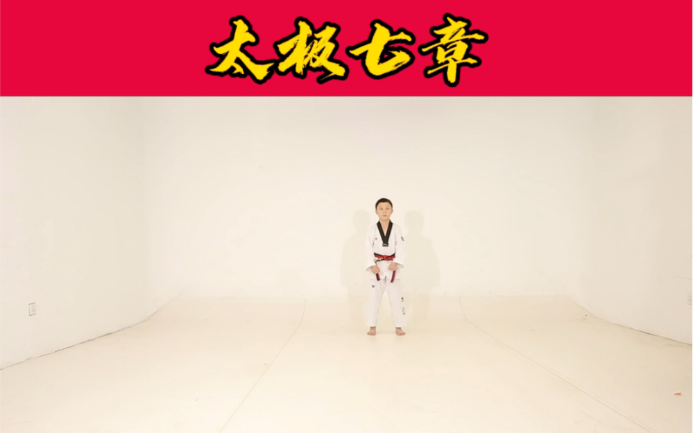 活动作品跆拳道品势太极七章