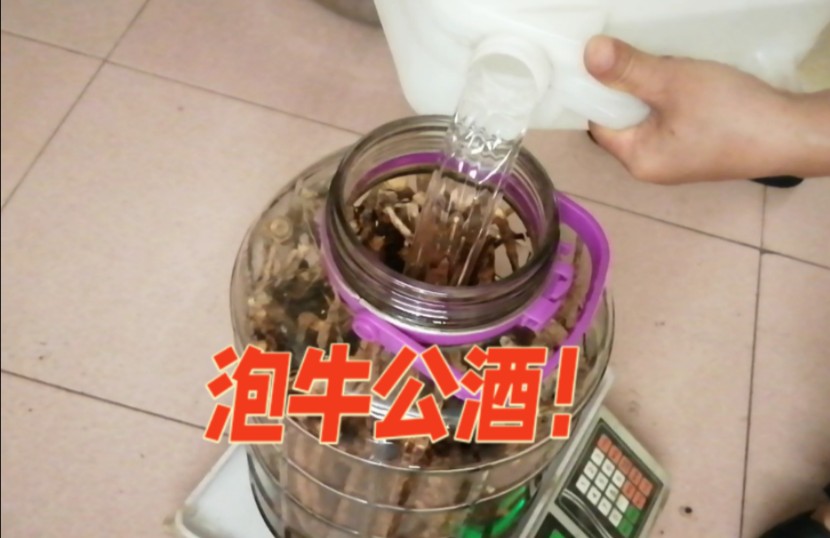 牛大力酒:为什么与别人泡的方法不一样/因为它是牛公/有区别!