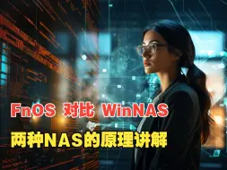 Скачать видео: WinNAS与飞牛NAS的原理对比