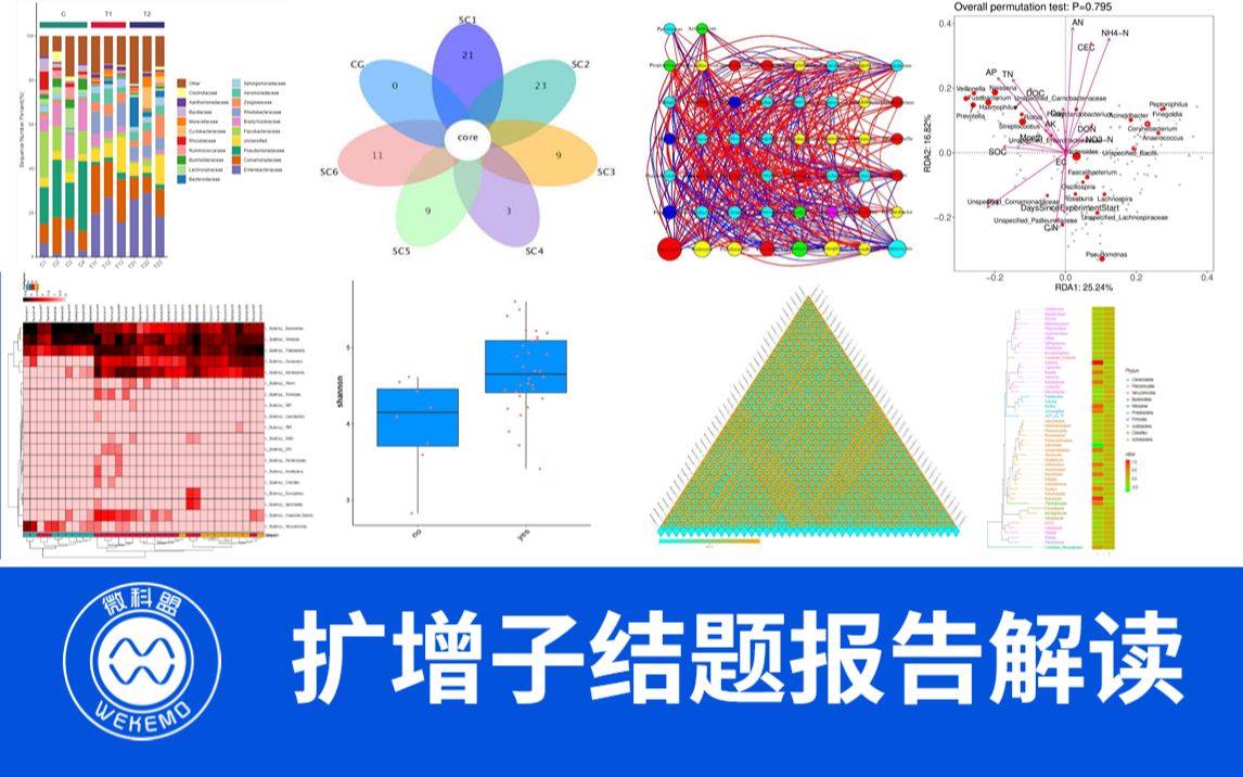 微生物16S扩增子结题报告详解哔哩哔哩bilibili