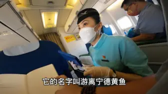 Скачать видео: 带你领略厦门航空餐食，我心中的国内航空餐食TOP3