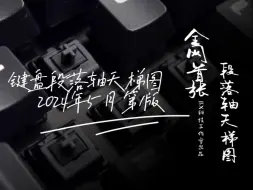 Download Video: 【键盘轴天梯图B】2024年5月第1版#全网首张段落轴天梯图