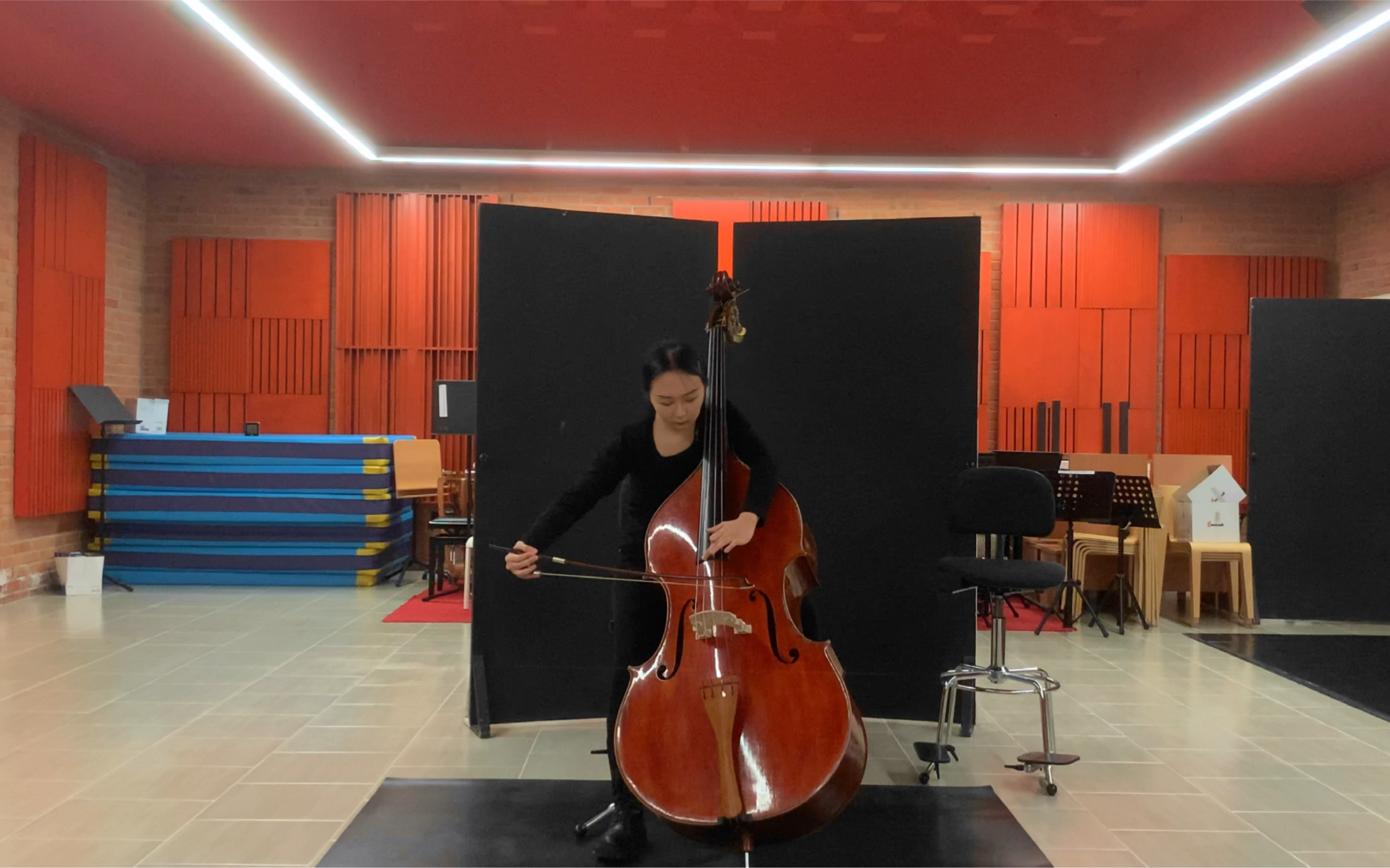 低音提琴double bass|波泰西尼 nel cor piu