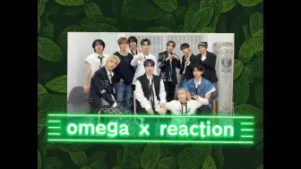 Download Video: omega x reaction    舞台➕出道团综！！！【头发丝比拼还是太高级了哈哈哈哈哈