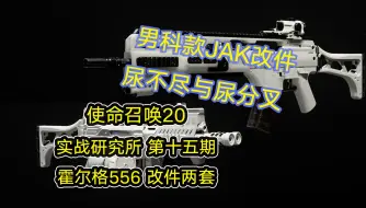 Download Video: 【使命召唤20】男科款JAK改件 尿不尽与尿分叉 实战研究所 第十五期 霍尔格556 改件两套