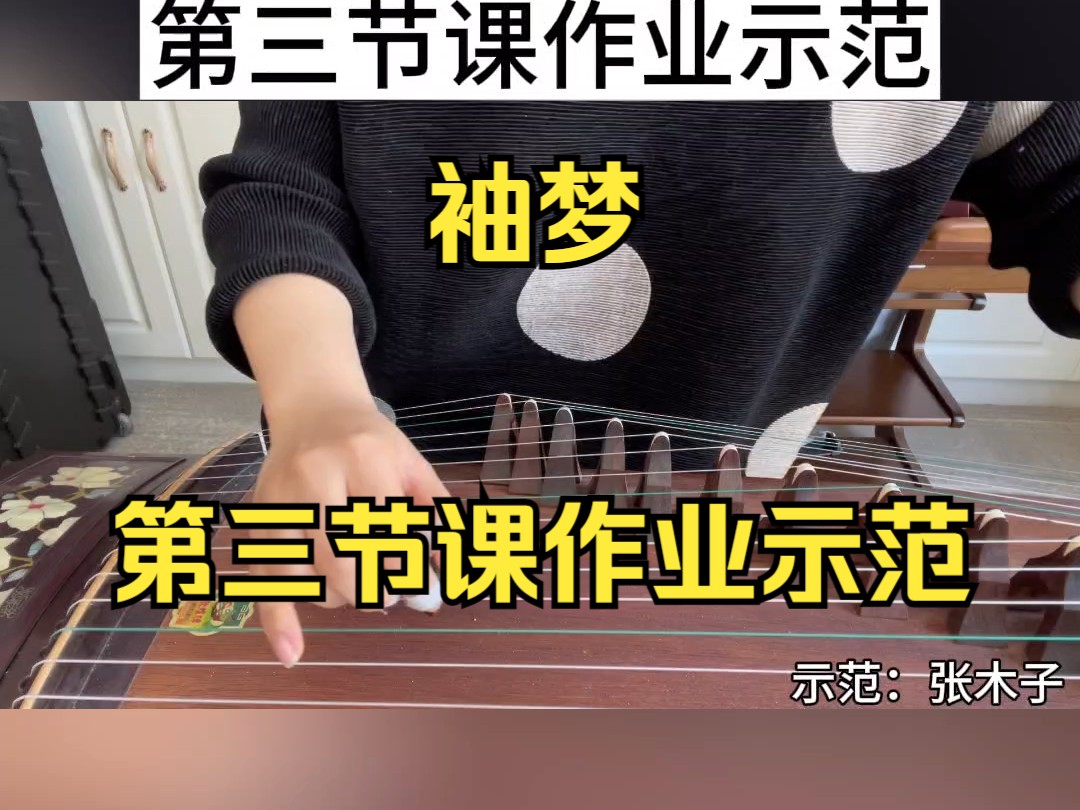 古筝曲袖梦38-78小节作业示范,985高校张木子老师讲解古筝曲袖梦作业