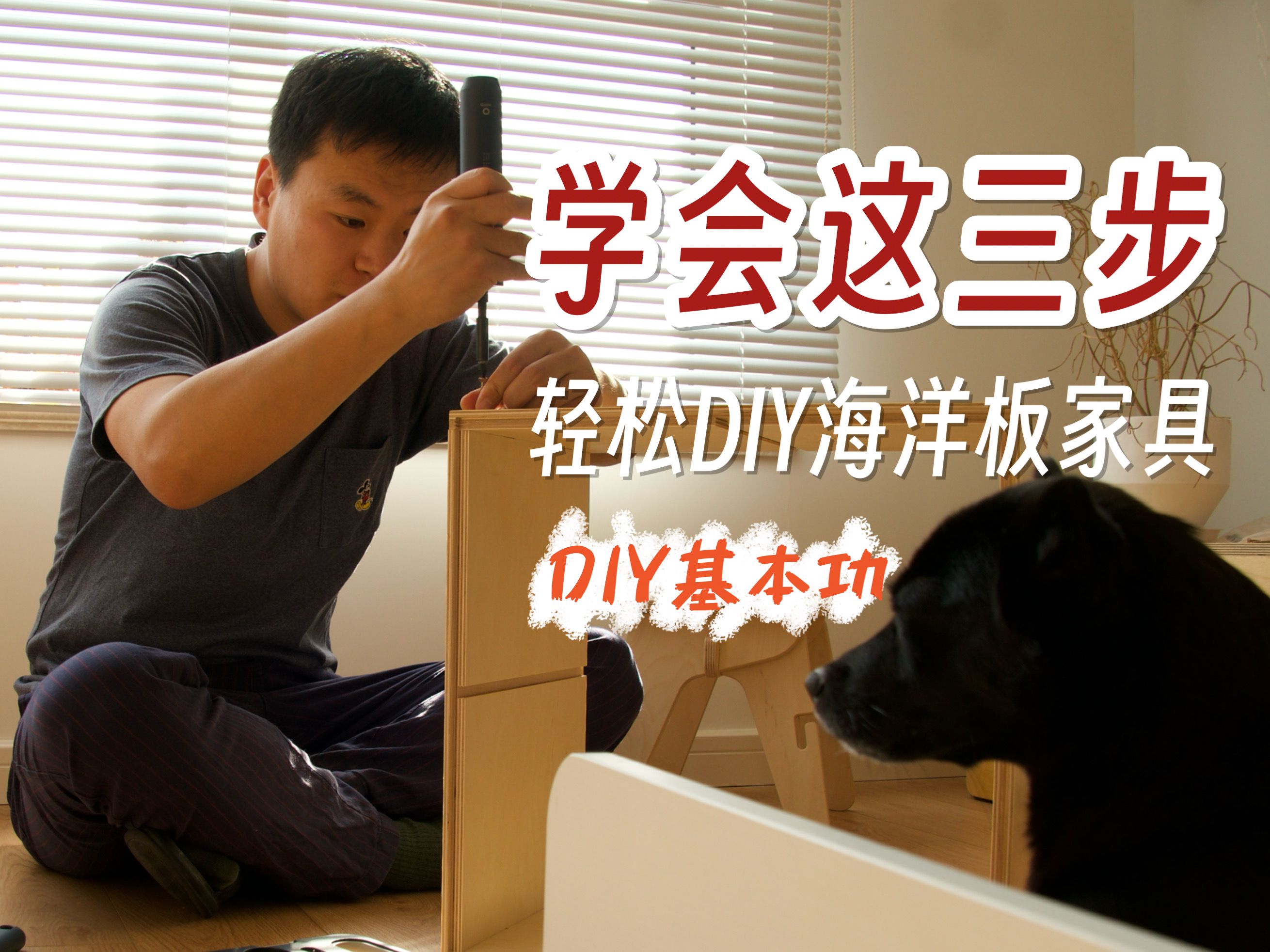 DIY基本功<自己做海洋板家具>详细教程哔哩哔哩bilibili