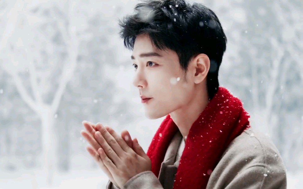 肖战 |怡达 开小灶 雪地混剪 下雪啦,一起去看雪吧!