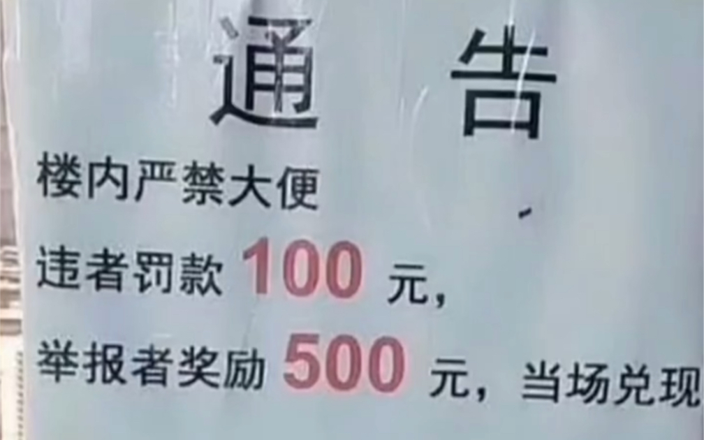 [图]我可真是个数学天才