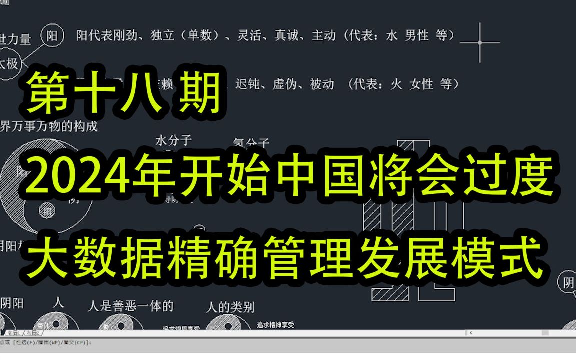 第十八期:2024年开始 中国将会过度大数据精确管理发展模式哔哩哔哩bilibili